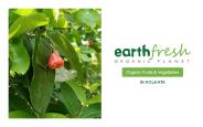 Organic Fruits & Vegetables in Kolkata
