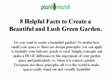 Flower Garden Nursery - Plant Mandi