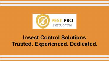 Pest Control In Auckland - Pest Pro
