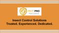 Pest Control In Auckland - Pest Pro PowerPoint PPT Presentation