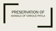 Preseevation of various phyla