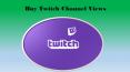 Get more People for Your Games by Buying Twitch Channel Views