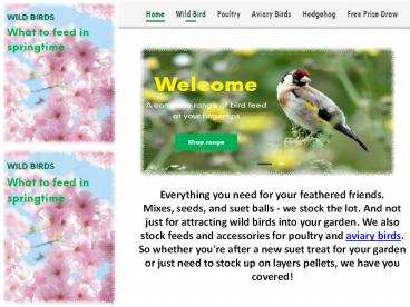 Singing Friend Multi-Feeder £15.29 - My Pets Supply