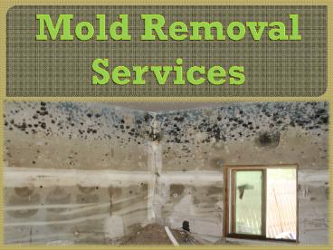 Mold Removal Services