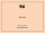 Pet Care