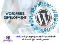 Contact Us To Hire Best WordPress Developers PowerPoint PPT Presentation