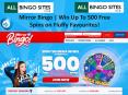 Mirror Bingo | Win Up To 500 Free Spins on Fluffy Favourites! PowerPoint PPT Presentation