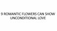9 POPULAR FLOWERS CAN SHOW UNCONDITIONAL LOVE