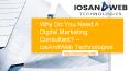 Why Do You Need A Digital Marketing Consultant? – IosAndWeb Technologies PowerPoint PPT Presentation