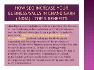 HOW SEO INCREASE YOUR BUSINESS/SALES IN CHANDIGARH (INDIA)