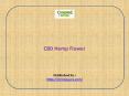 CBD Hemp Flower PowerPoint PPT Presentation