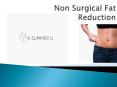 Does Non Surgical Fat Reduction Methods Really Work For Weight Loss PowerPoint PPT Presentation
