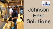 Pest Control Services in panchkula (1)