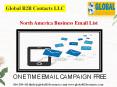 North America Business Email List PowerPoint PPT Presentation