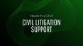 Civil Litigation Support - HarriettFox C.P.A PowerPoint PPT Presentation