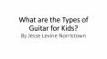 Jesse Levine Norristown - Music for Kids: Guitar PowerPoint PPT Presentation