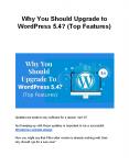 Why You Should Upgrade to WordPress 5.4? (Top Features)