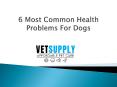 6 Most Common Health Problems For Dogs PowerPoint PPT Presentation
