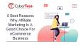 5 best reason why Affiliate Marketing is a good choice for eCommerce business PowerPoint PPT Presentation