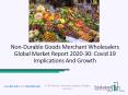 Non-Durable Goods Merchant Wholesalers Market Healthy CAGR During 2020 PowerPoint PPT Presentation