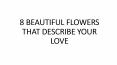 8 BEAUTIFUL FLOWERS THAT DESCRIBE YOUR LOVE PowerPoint PPT Presentation
