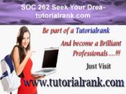 SOC 262 Seek Your Dream/ tutorialrank.com