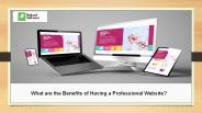 What are the Benefits of Having a Professional Website?