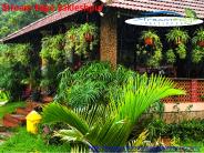 Best accommodation in Sakleshpur....