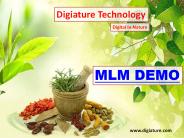 MLM Demo
