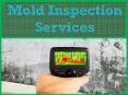 Mold Inspection Services PowerPoint PPT Presentation
