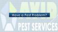Pest Control Company Hamilton - Avid Pest PowerPoint PPT Presentation