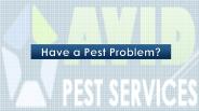 Pest Control Company Hamilton - Avid Pest