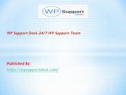 24/7 WP Support Team
