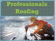 Professionals Roofing