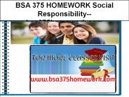 BSA 375 HOMEWORK Social Responsibility--bsa375homework.com
