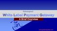 White Label Payment Gateway - A Brief Overview PowerPoint PPT Presentation