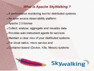 Apache SkyWalking
