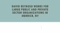 David Reynoso Works For Large Public and Private Sector Organizations in Merrick, NY PowerPoint PPT Presentation