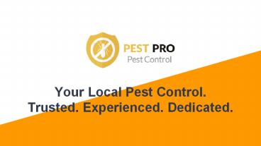 Ant Removal in Auckland - Pest Pro