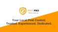 Ant Removal in Auckland - Pest Pro PowerPoint PPT Presentation