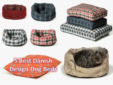 5 Best Danish Design Dog Beds