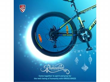 Best bicycle for girl in india (2)