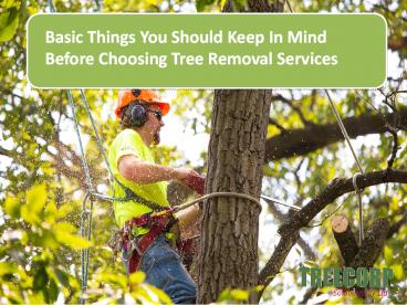 Basic Things You Should Keep In Mind Before Choosing Tree Removal Services