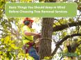 Basic Things You Should Keep In Mind Before Choosing Tree Removal Services PowerPoint PPT Presentation