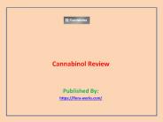 Cannabinol Review