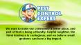 Pest Control Expert Specialist PowerPoint PPT Presentation