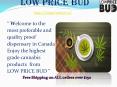 Low price bud Provides Fast Weed Delivery  to In Canada