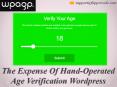 How to Embed The Age Verification Plugin to Your Wordpress Site PowerPoint PPT Presentation
