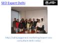 Find the best SEO Expert in Delhi PowerPoint PPT Presentation