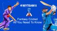 Fantasy cricket: All details PowerPoint PPT Presentation